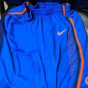 Nike Men’s Florida Gators shorts
